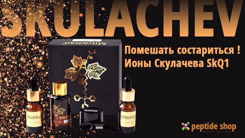 skulachev banner large