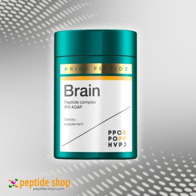 prime peptide brain